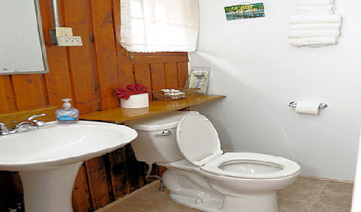 Cabin 5 Bathroom