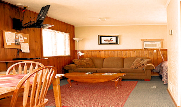 Lake Front Rental Cabin Six Living Area with Queen Sofa Bed