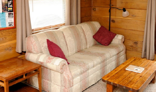 Cabin 7 Pull Out Couch