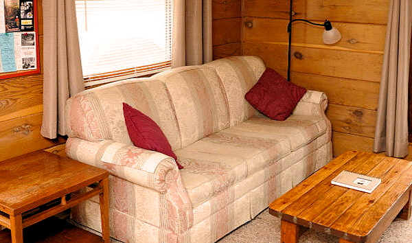 Lake View Rental Cottage Seven - Living Room with a Full Sofa Bed